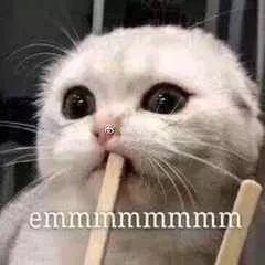 相亲真实案例聊天记录，相亲聊天记录曝光