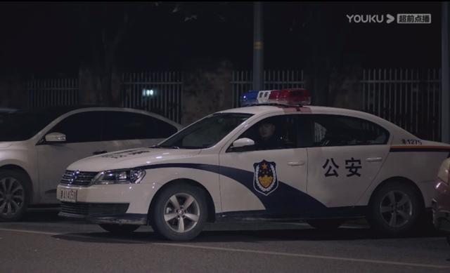 重生之特别案卷，最近新出的网剧破案