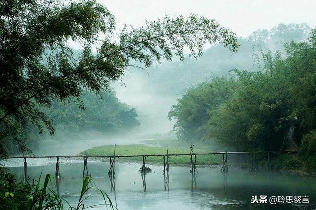 咏竹七绝诗词大全，七绝.竹五首