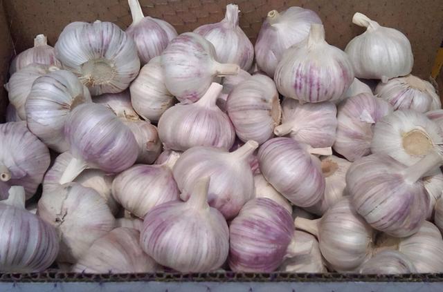 怎样保存大蒜不发芽的方法，保存大蒜牢记一招