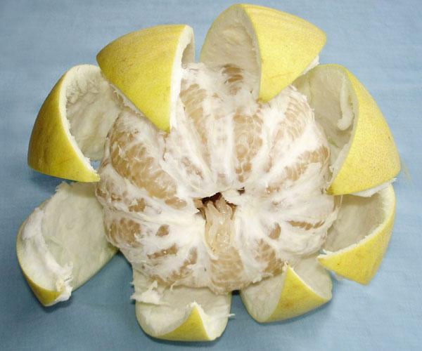 柚子类包括哪些，看果皮怎么区分它们