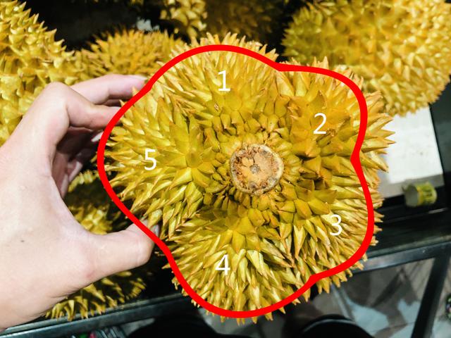 如何挑选一个大而好吃的榴莲，吃榴莲的旺季来了