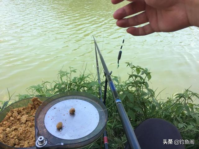 野钓最常用的调漂方法图解，野钓常用的几种调漂方式