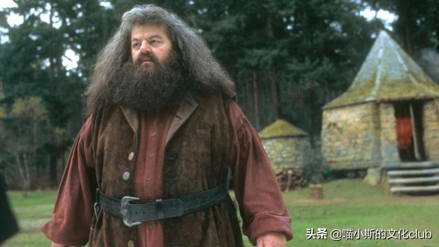 哈利波特的生日，哈利波特所有人物生日（《哈利·波特与魔法石》让你“爷青回”）