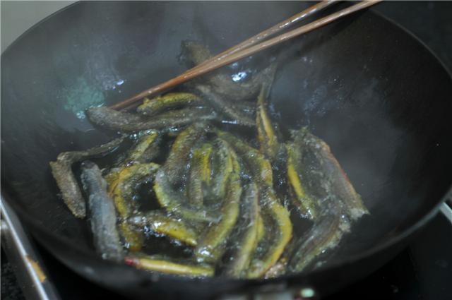 麻花鱼最爱吃什么食物，小麻花鱼也有特色