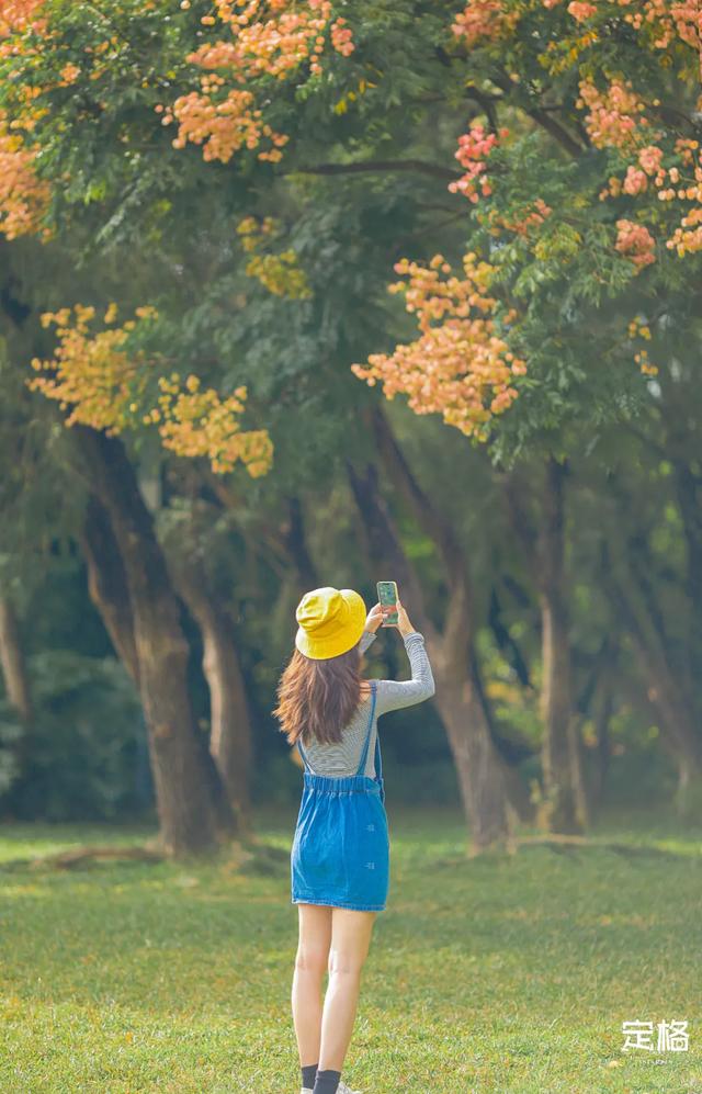 莲花山公园 网红打卡地，莲花山公园又红了