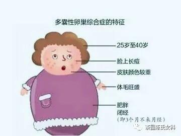 多囊就一定会肥胖吗(多囊一定会肥胖吗)