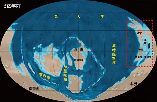 大陆漂移和板块构造，陆地板块漂移假说