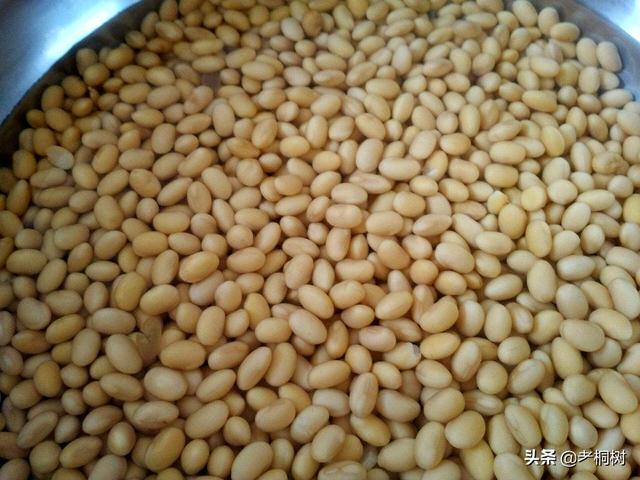 油豆腐的制作技术，油豆腐怎么做才不会老（大叔家的客家菜：自制油豆腐）