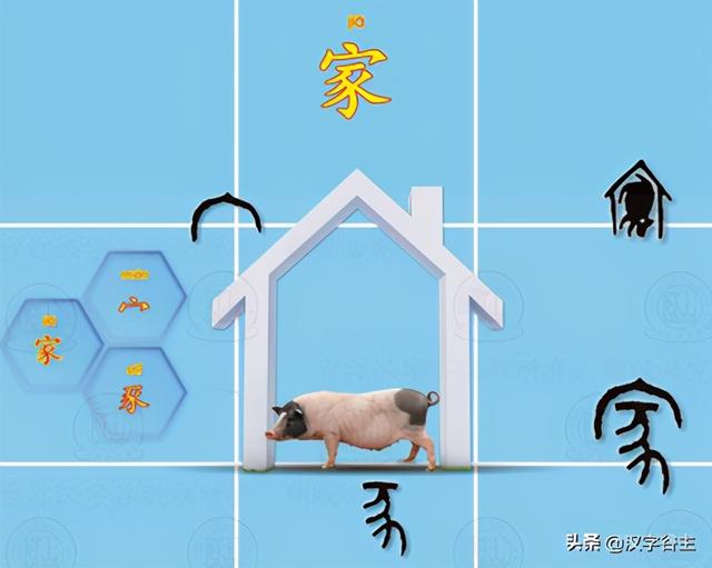 豕的由来，豕的由来（从豕字到