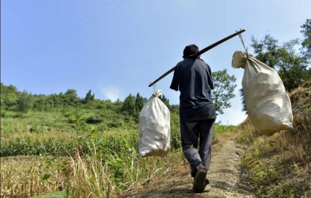 陈星银颁奖典礼，含勺喂母感天动地