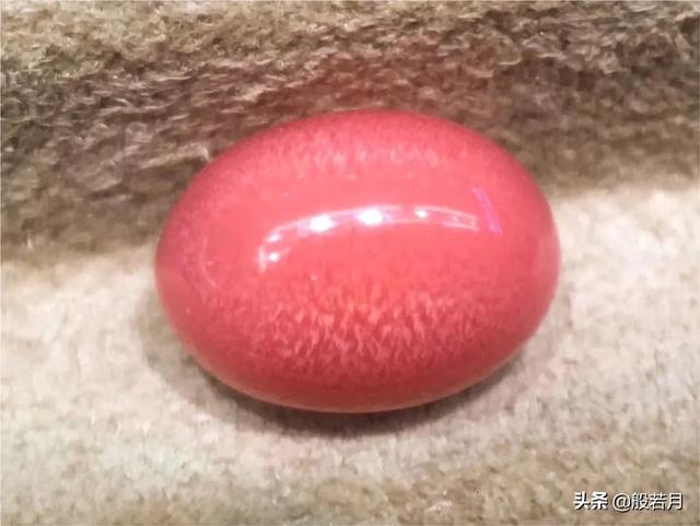 砗磲和白蝶贝，你只知道贝王砗磲