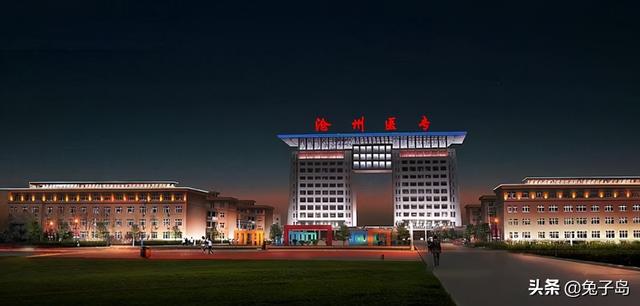 沧州职业技术学院，沧州职业技术学院排行河北（河北2022专科一批志愿分数线疯了）