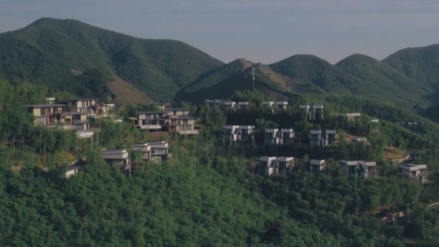 湖州，湖州旅游攻略自由行攻略