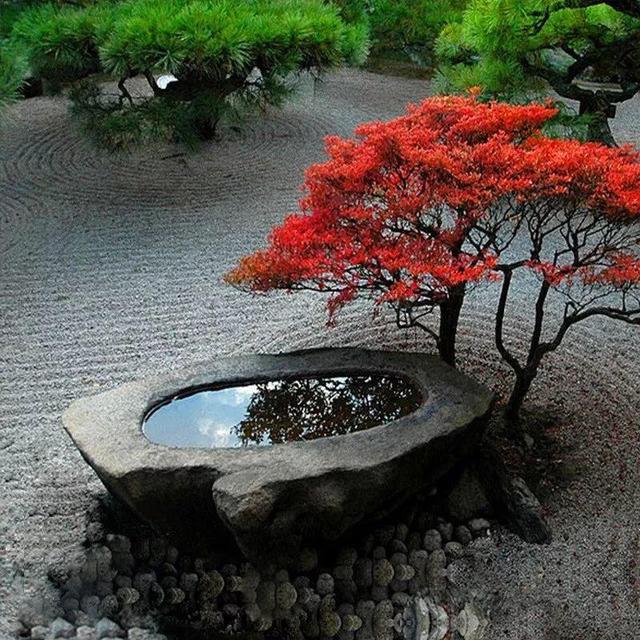 庭院水景观怎么设计，庭院中式元素—叠水