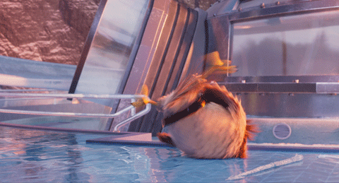 愤怒的小鸟第3季睡前读物精华版，愤怒的小鸟2竟上演