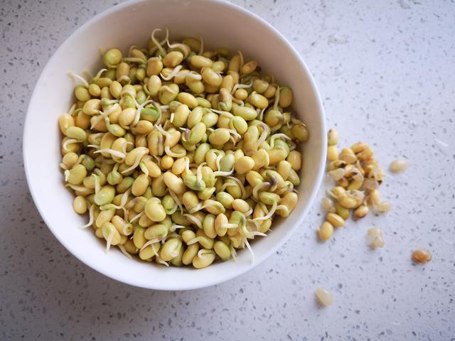 如何生绿豆芽和黄豆芽，不用土壤不用肥料