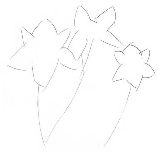 钢笔画入门基本步骤，钢笔画入门步骤详解