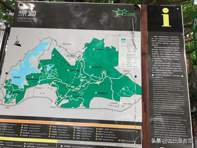 深圳梧桐小镇露营，可以带她在深圳这样玩