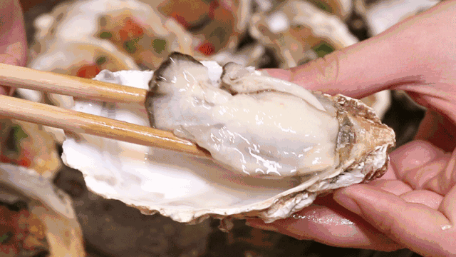 生蚝肉怎么做好吃，不加壳的生蚝怎么吃（这个季节的生蚝肥美）