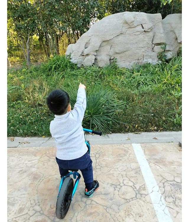 天津海昌极地海洋公园旅游攻略，带着孩子去看鱼