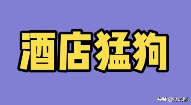 四面八方这样类似的成语有哪些，盘点那些不像成语的成语