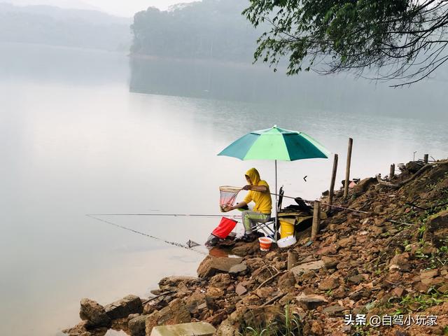 广州自驾露营有哪些地方，广州这5个地方真是绝了