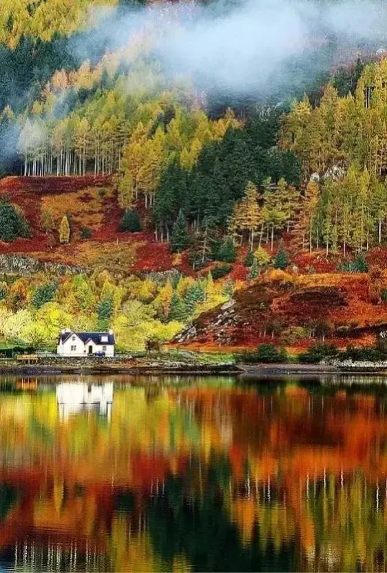 秋天银杏十大绝美诗句，咏上海001号古银杏树