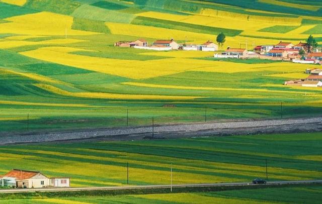青海湖几月份看油菜花，青海湖旅游的最佳季节来了