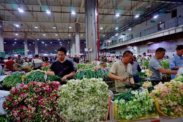便宜又实惠的鲜花市场，打卡全国最大的鲜花批发市场