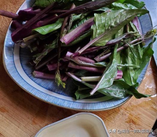 炒紫菜的做法大全家常教学，紫菜和鸡蛋不光烧汤好喝