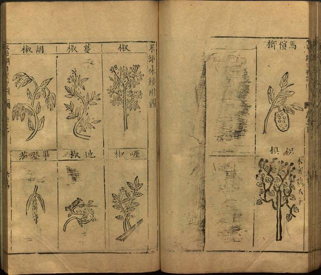 本草纲目全书带图，李时珍本草纲目全书（李时珍著《本草纲目》附图卷）