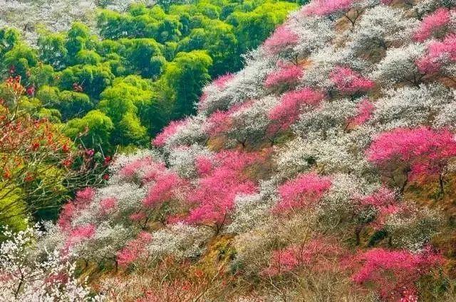 适合12月份去的旅行地，2月绝美旅行地推荐