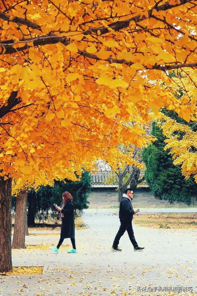 手机人工智能抠图软件，一键人像抠图