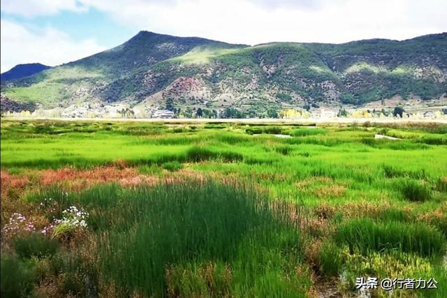 泸沽湖详细介绍，那些藏在春日里的诗意美景