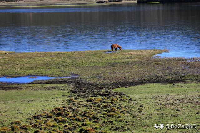 云南洱海必去景点推荐，莫道高原少美景