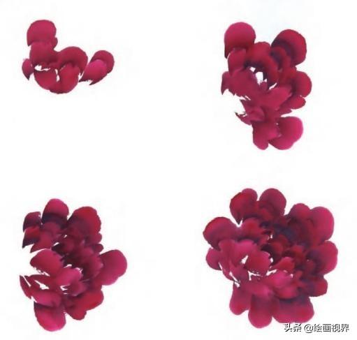 牡丹画法的12种步骤，钛白、藤黄、朱磦、颜料准备好