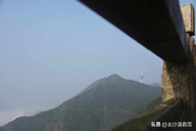 深圳梧桐小镇露营，可以带她在深圳这样玩