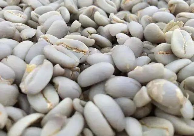 印尼顶级麝香猫咖啡，除了麝香猫咖啡