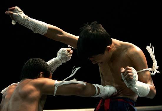 泰拳电影有哪些，推荐三部个人觉得非常不错的泰国动作电影