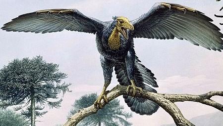 恐龙全部都灭绝了吗，6500万年前恐龙灭绝