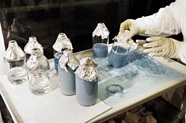 地球上唯一的蓝血生物，男孩交给警察1只4眼蓝血小怪物