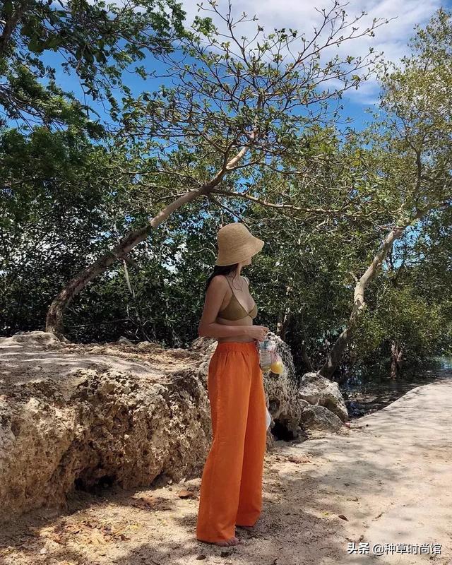 今年爆火的脏橘色，脏橘色什么时候流行的