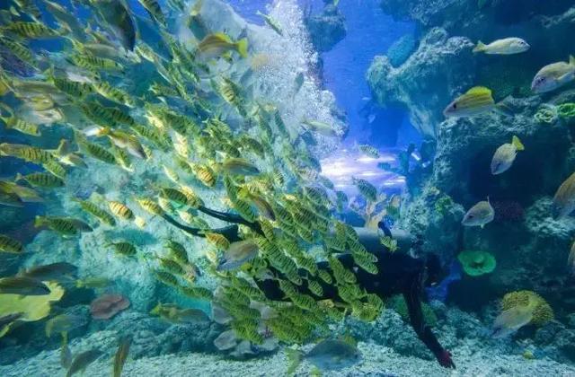 去芜湖玩攻略，到芜湖怎么玩芜湖最强旅游指南