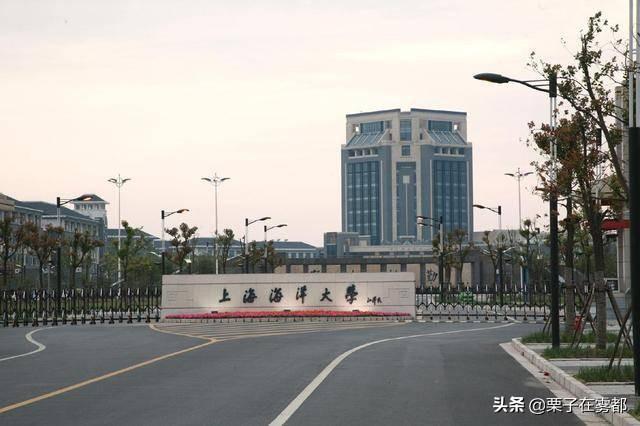 上海几所985，上海哪几所大学是985