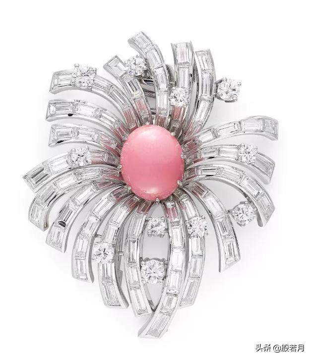 砗磲和白蝶贝，你只知道贝王砗磲