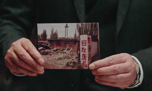 动物管理局第二季，动物管理局第二季出了没有（由陈赫、王子文主演的《动物管理局》结束了）