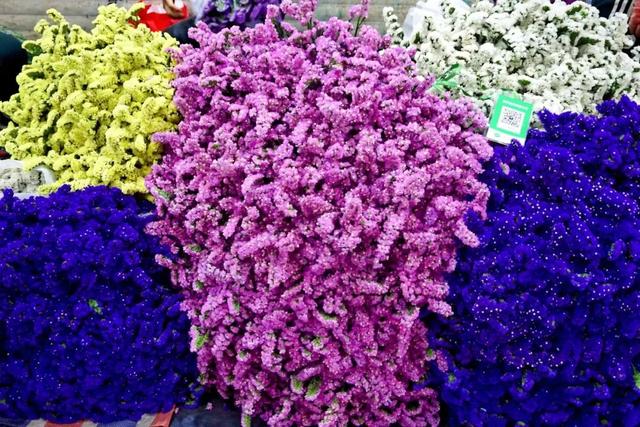 便宜又实惠的鲜花市场，打卡全国最大的鲜花批发市场