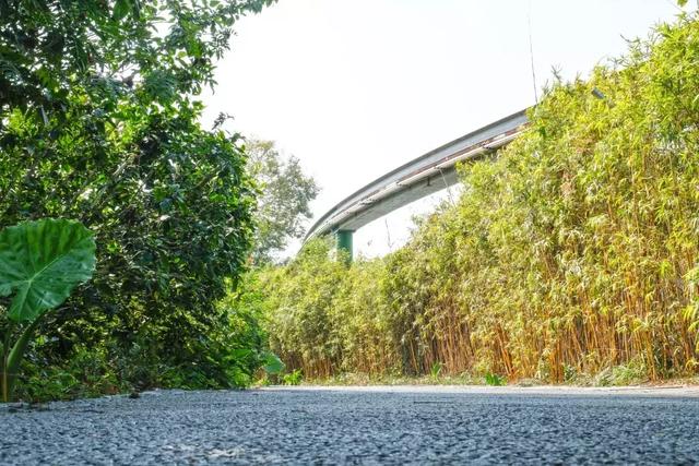 深圳世界之窗好玩吗，深圳世界之窗让你一天游遍全世界