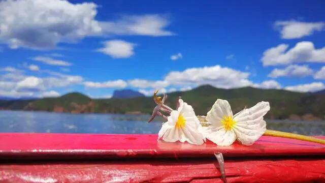 泸沽湖的海藻花几月份去最好，夏日云南美景可不止一点点
